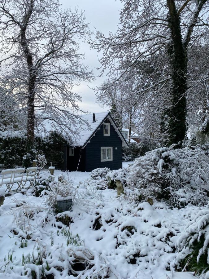 Garden Find Zandvoort Bentveld Exterior photo
